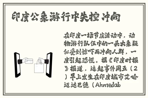 拔黄萝卜9.1腾讯